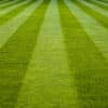 how to stripe a lawn