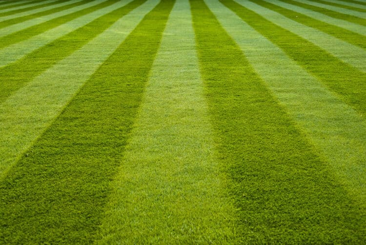 how to stripe a lawn