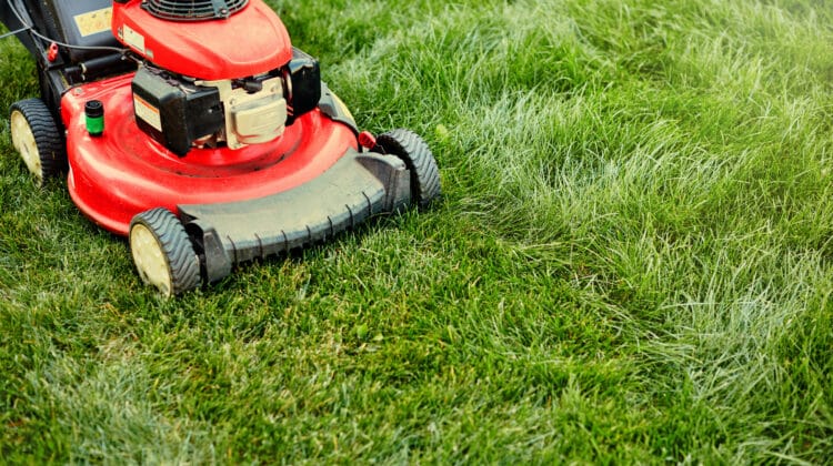Lawnmover in red uniform cutting green grass on electric lawnmower Lawnmower trimming and polishing background