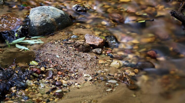 Transparent cold forest creek with stones leaves and sand under milky fuzzy water shot on a long exposure with a nd filter