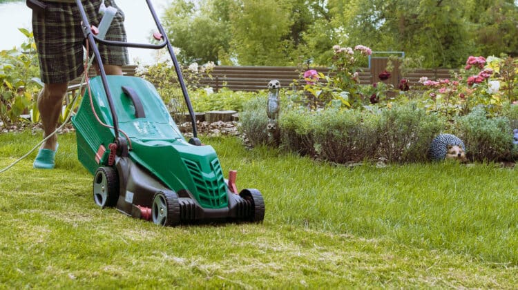 man mows a lawn mower with a green lawn in his own garden near a flower garden in summer