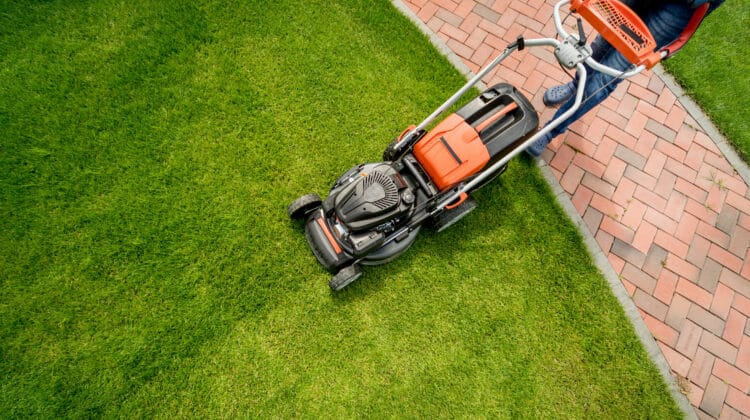 Gardener mowing the lawn Landscape design Green grass background
