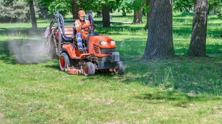 Man mows the grass under trees in park by riding mowing machine