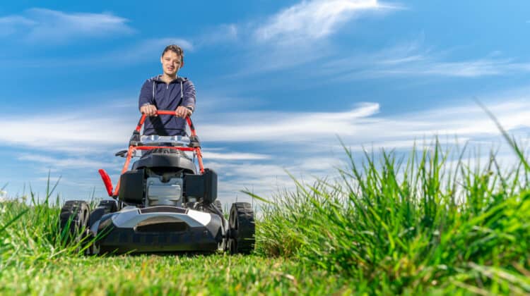 Man mows the lawn with a lawn mower